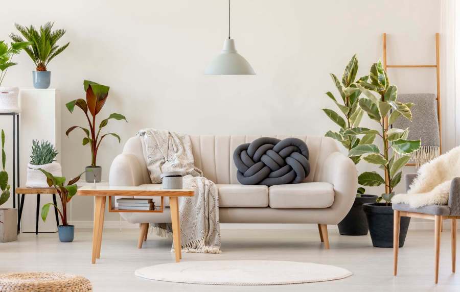 Modern living room with potted plants and cozy furnishings at Standard at Royal Lane in Dallas, Texas