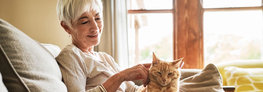 A Stoney Brook resident petting her cat.