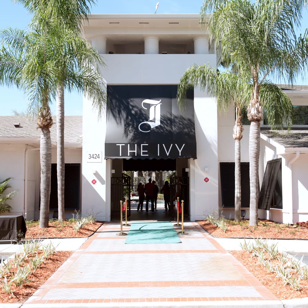 Incredible entrance to the luxury apartments at The Ivy in Tampa, Florida