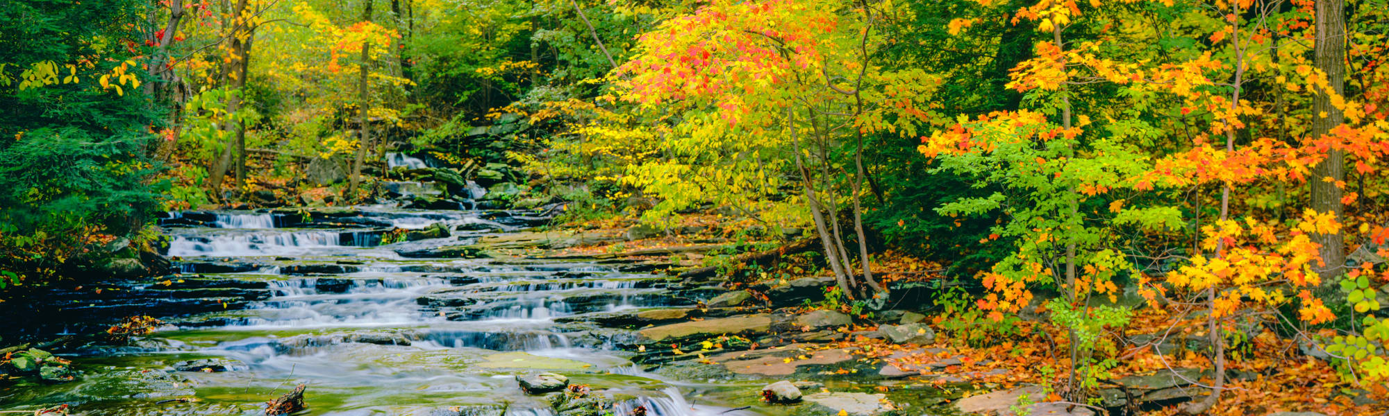 Directions to Autumn Chase in Ellington, Connecticut