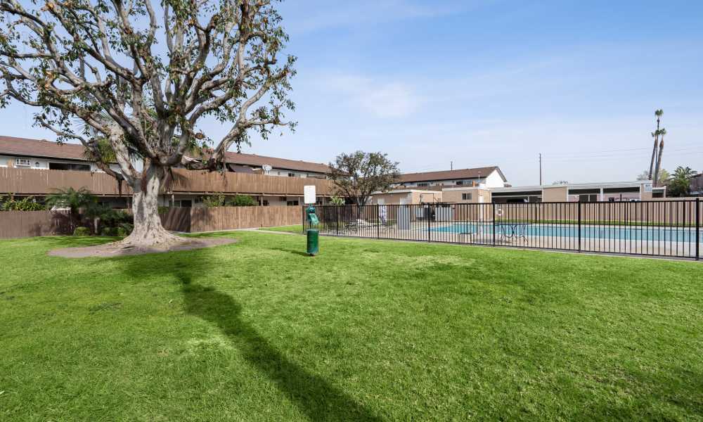 Grassy ppet area outside of pool at Newland Garden Apartments in Garden Grove, California