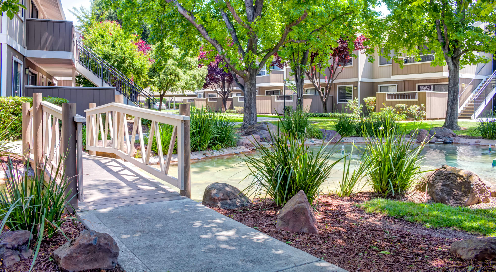 Reviews at Sofi Berryessa in San Jose, California
