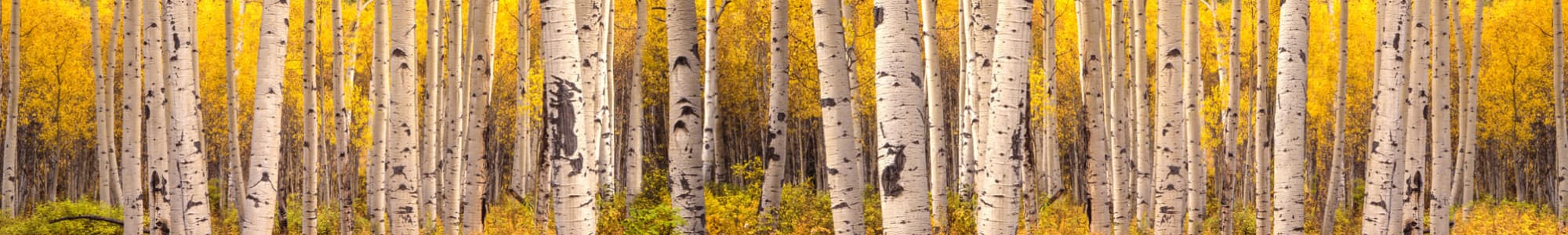 Contact us at Keystone Apartments in Northglenn, Colorado