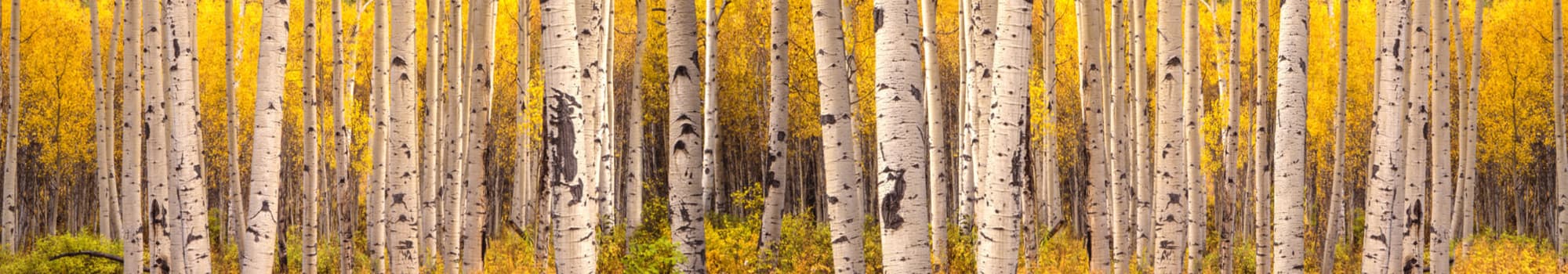 Your neighborhood at Keystone Apartments in Northglenn, Colorado