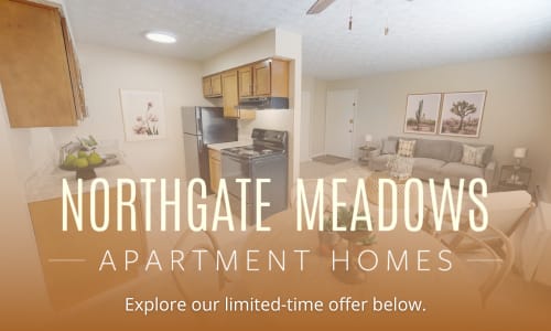 Northgate Meadows Promotional Leasing Special in Colerain Township, Ohio Northgate Meadows Apartments in Cincinnati, Ohio