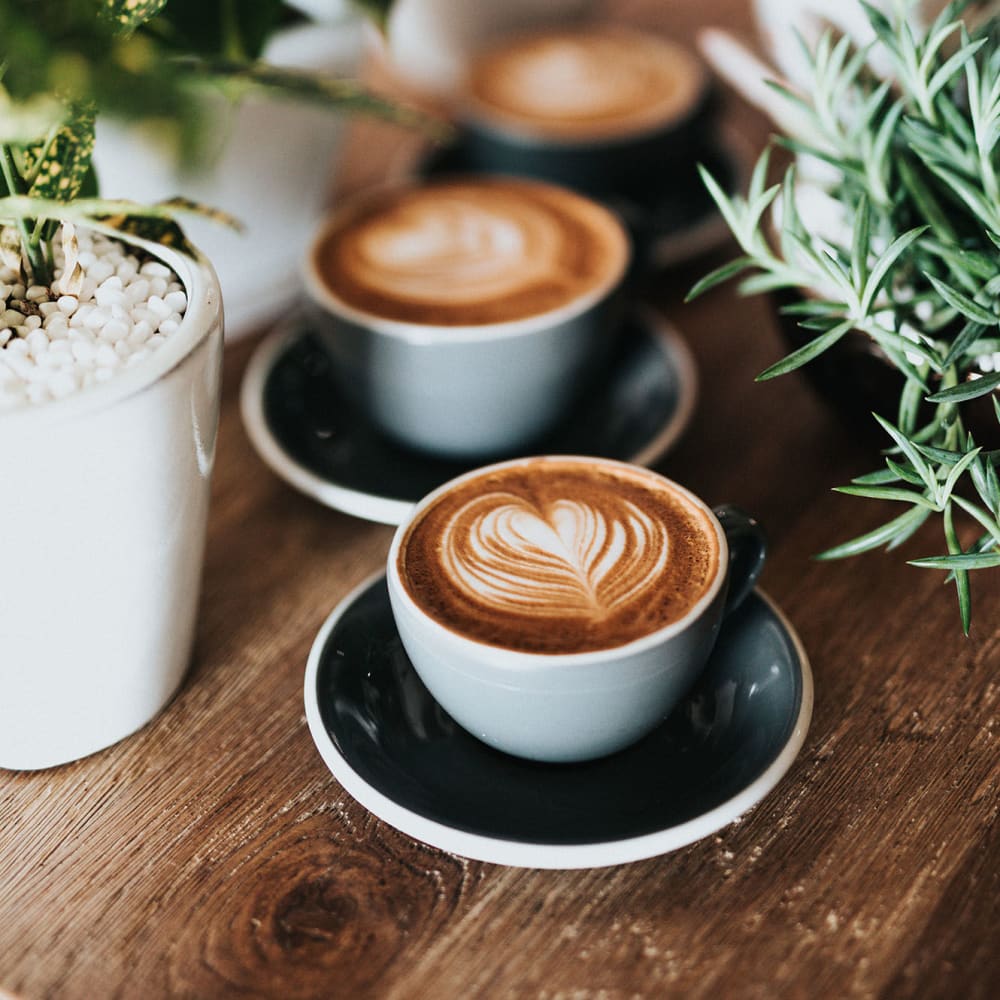 Cappuccinos sitting on a wood table next to plants at Quailwood Apartments in Stockton, California