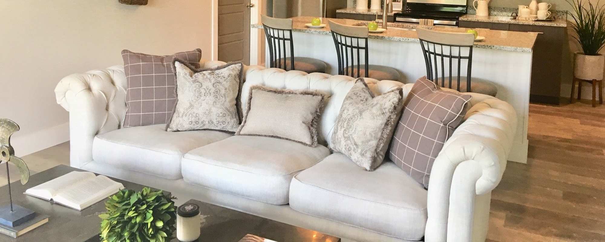 Apply | Palomar Stables in Lexington, Kentucky