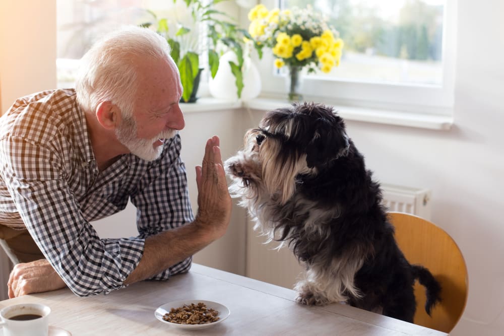 Resident 'hi fiving' his dog at Goodhue Living in Goodhue, Minnesota.