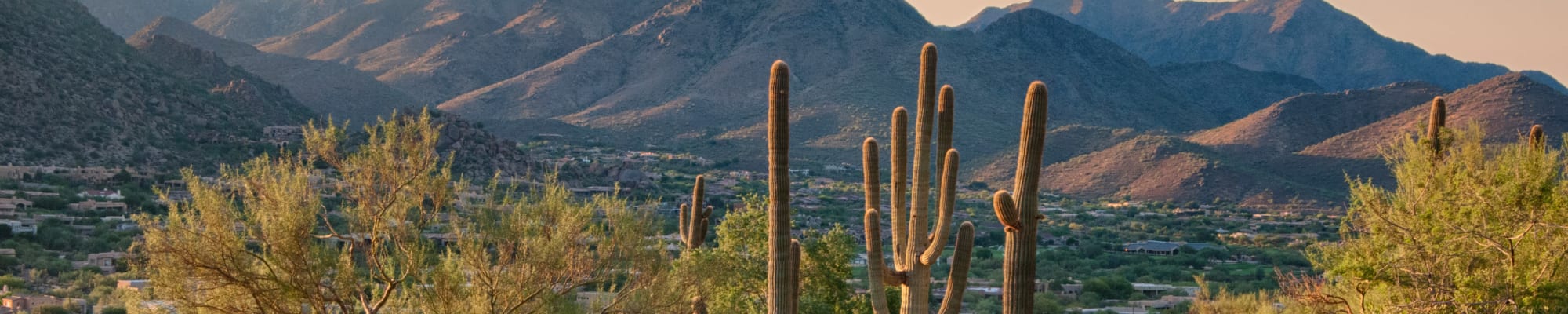 Amenities at The Retreat Apartments in Phoenix, Arizona