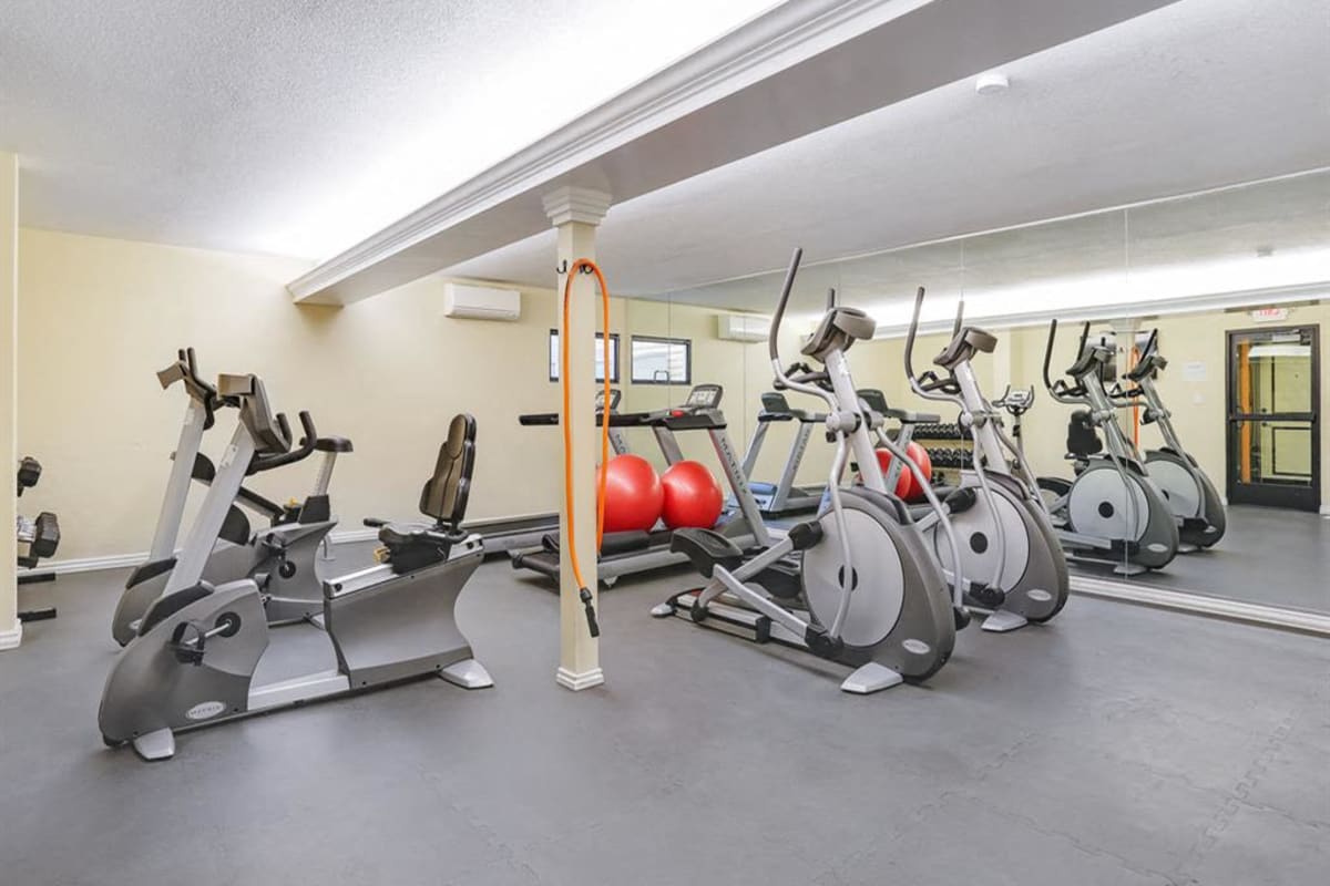 Inside the fitness center at El Gato Penthouse in Los Gatos, California