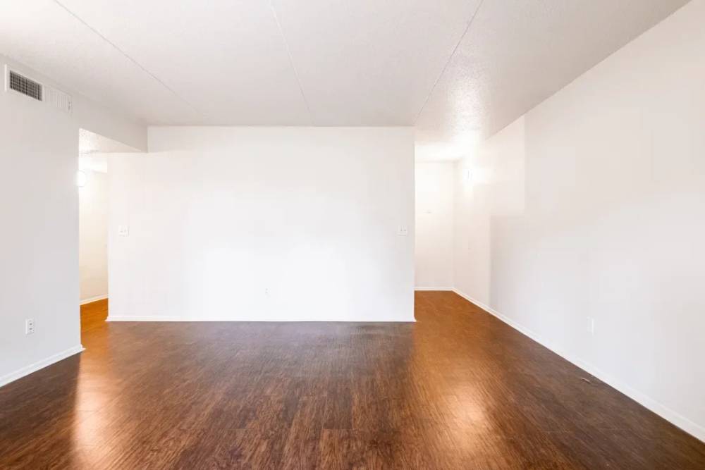 Open floor plan apartment living room at Caroline Arms in Jacksonville, Florida