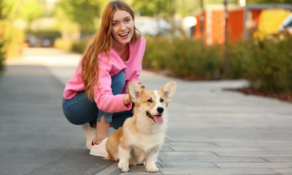 Residents enjoying their day at a park near Willow Creek Villas in Sparks, Nevada