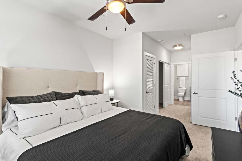 Cozy living spaces at The Margo in Sandy Springs, Georgia