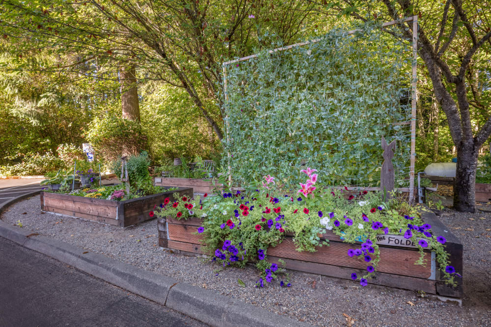 Outdoor garden beds and flower planters at The Firs in Olympia, Washington