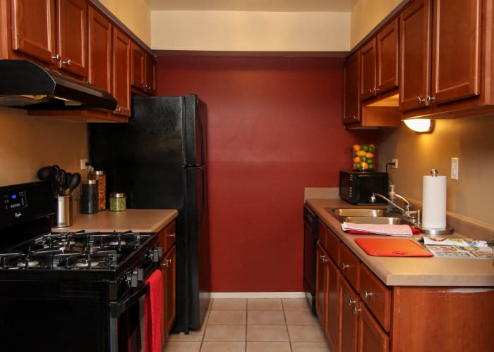 kitchen in Rustic Oaks luxury apartments