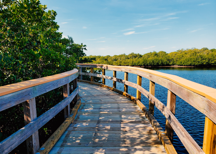 Boardwalk on the water near Goldelm at Bennett Park in Bradenton, Florida
