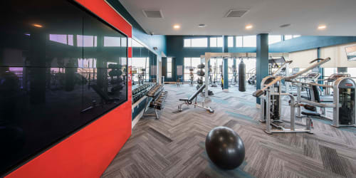 Strata Apartments's state-of-the fitness center, in Denver, Colorado