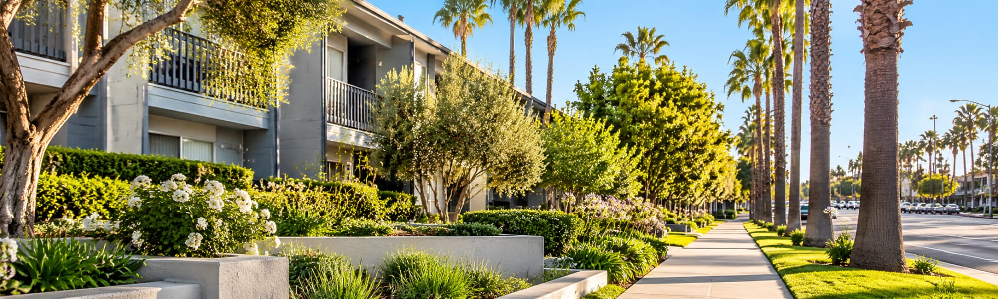 Location | Park Grove in Garden Grove, California