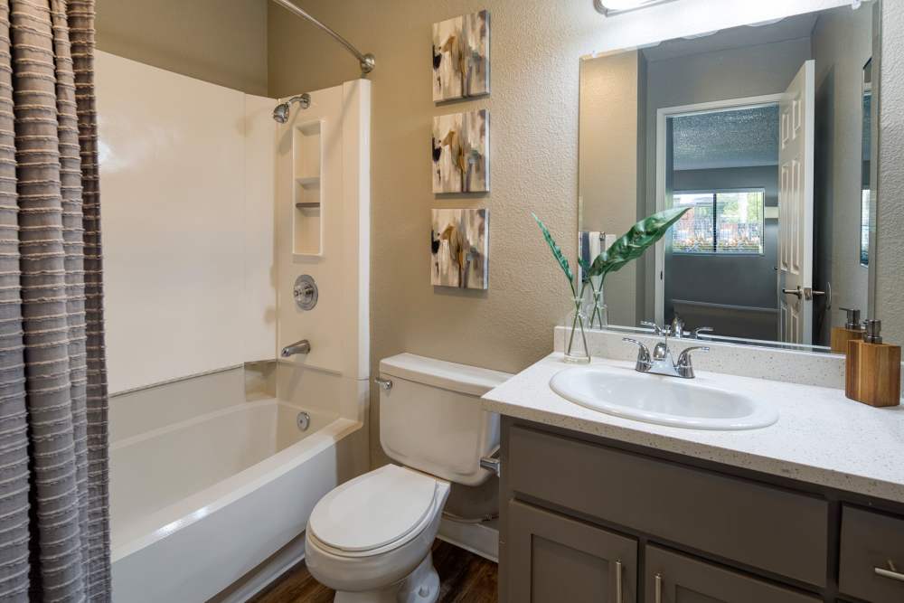 Bathroom at Falls at Arden in Sacramento, California