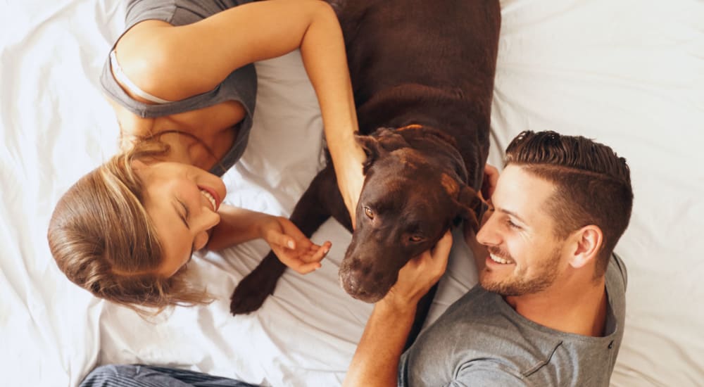 2 residents snuggling with their dog at Bellrock Summer Street in Houston, Texas