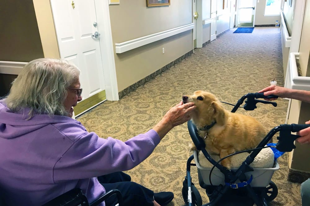 Resident feeding her dog at Heron Pointe Senior Living in Monmouth, Oregon