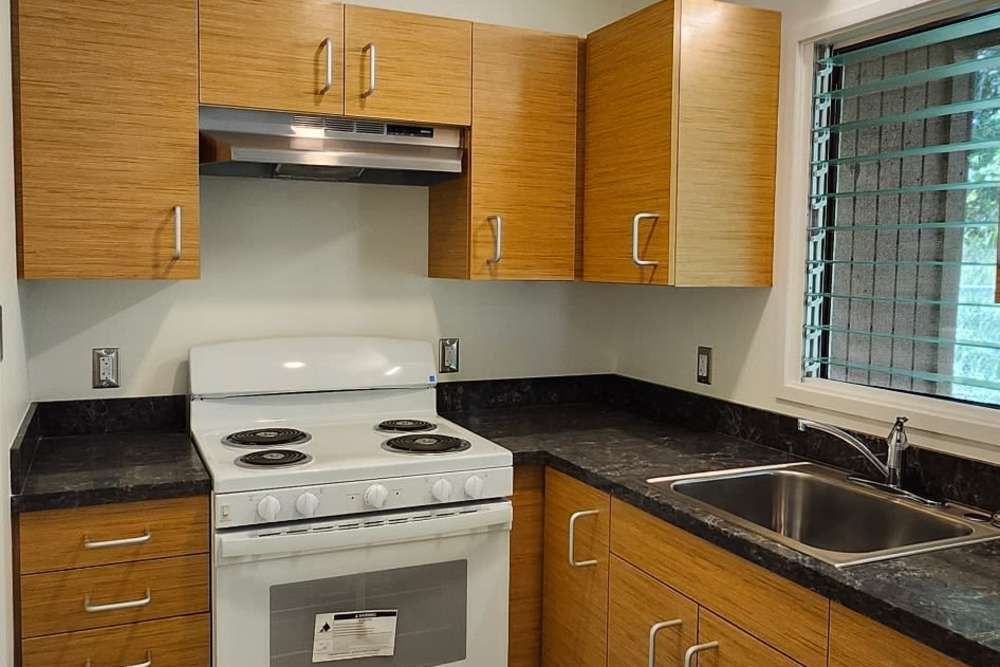 Kitchen island with dishwasher, sink with waterfall faucet, and granite countertops at Kulaimano Elderly Housing in Pepeekeo, Hawaii