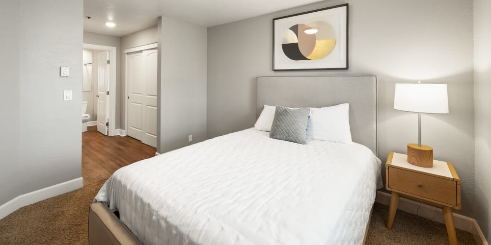 Model bedroom with plush carpeting at Summerhill Terrace Apartments in San Leandro, California