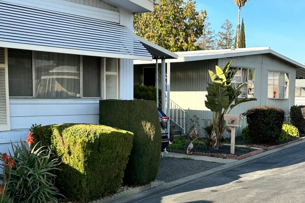 Street view of apartments with palm tree in the background at Casa Alondra in San Jose, California