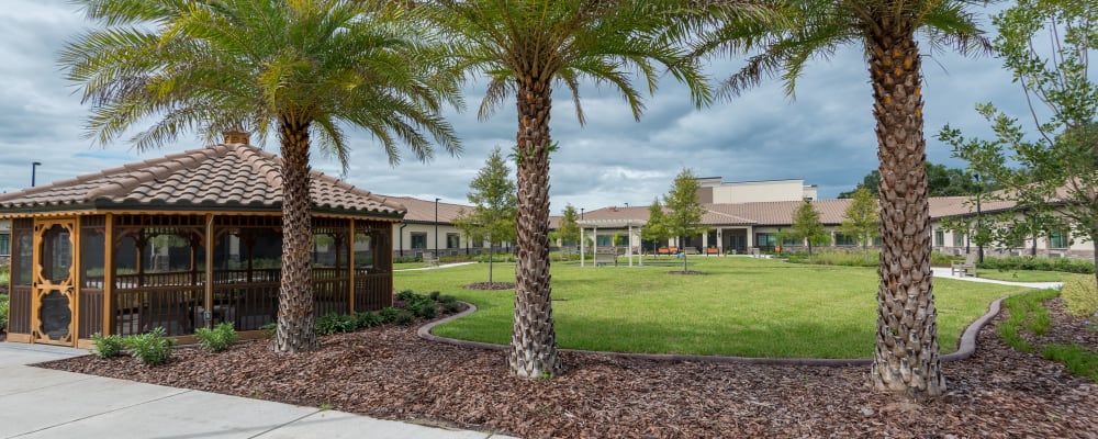 View our services and amenities at Inspired Living Ocoee in Ocoee, Florida