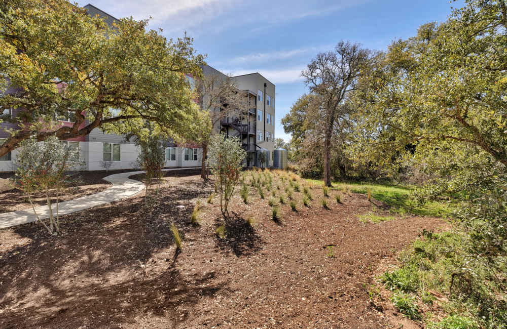 Exterior view with lush greenery at Homestead Oaks Apartments in Austin,Texas