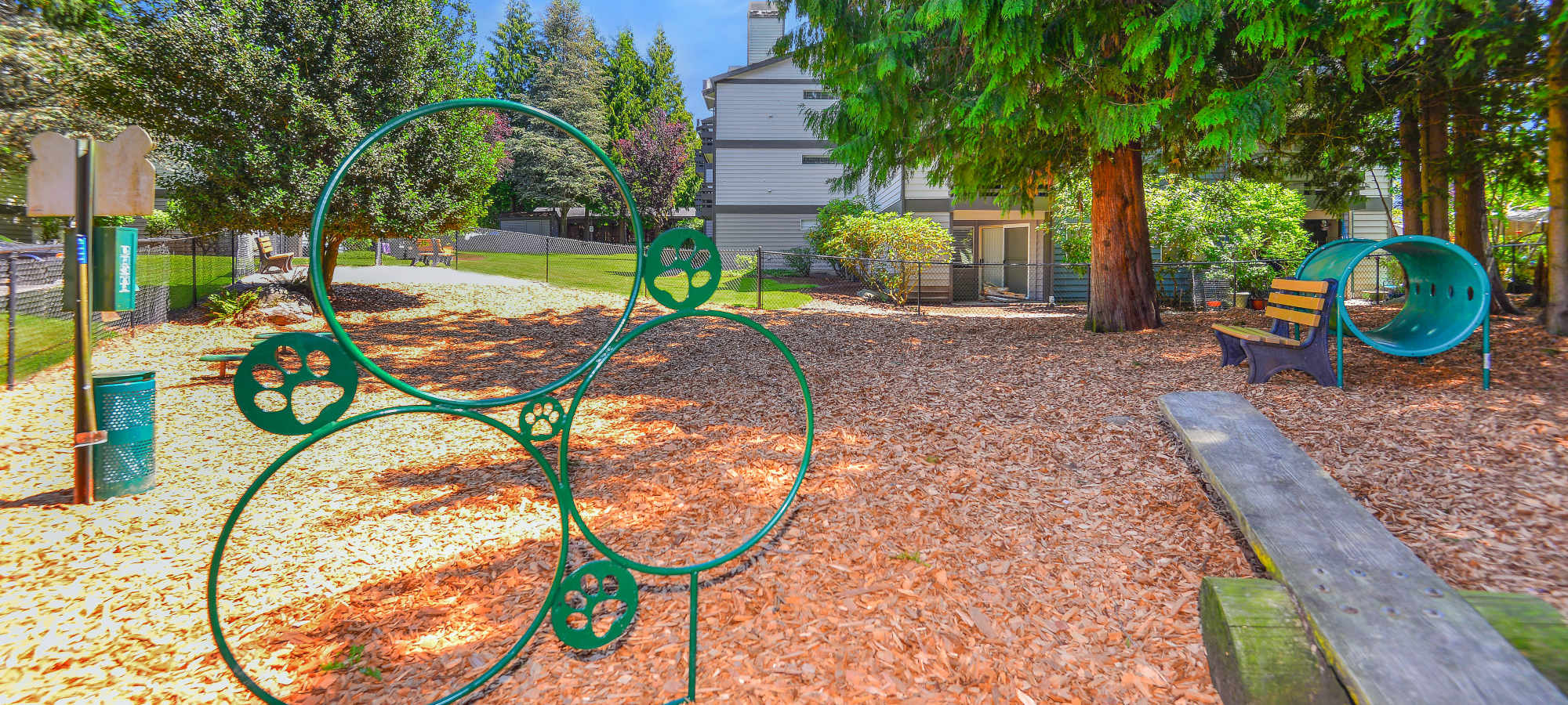 Pet Friendly at Latitude Apartments in Everett, Washington
