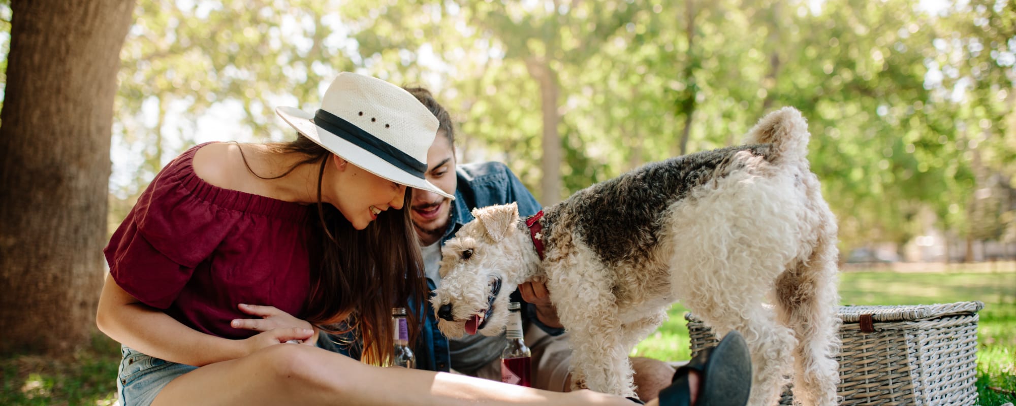 Neighborhood attractions near The District at Chandler in Chandler, Arizona