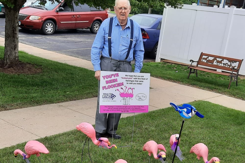 You've been flocked! at Clover Ridge Place in Maquoketa, Iowa