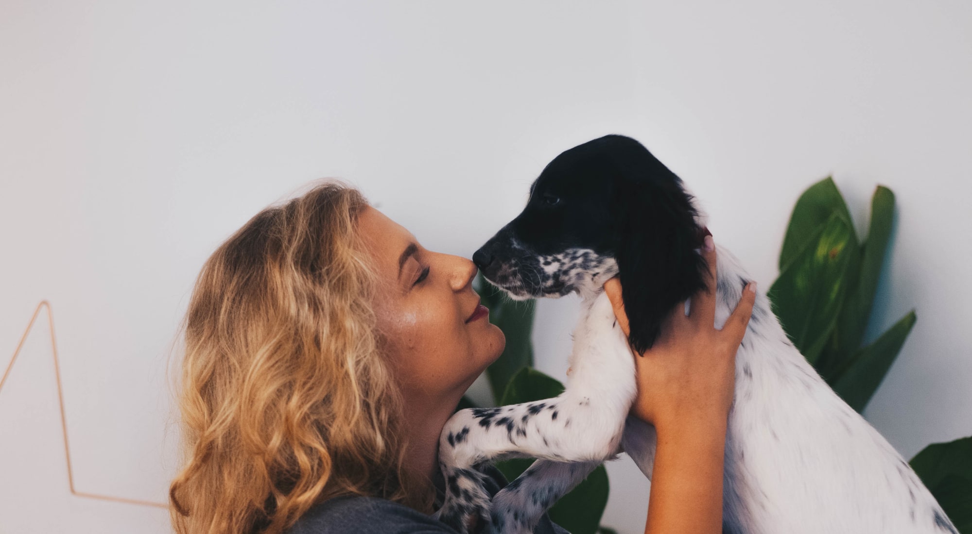 Pet-friendly apartments at Vue Los Feliz in Los Angeles, California