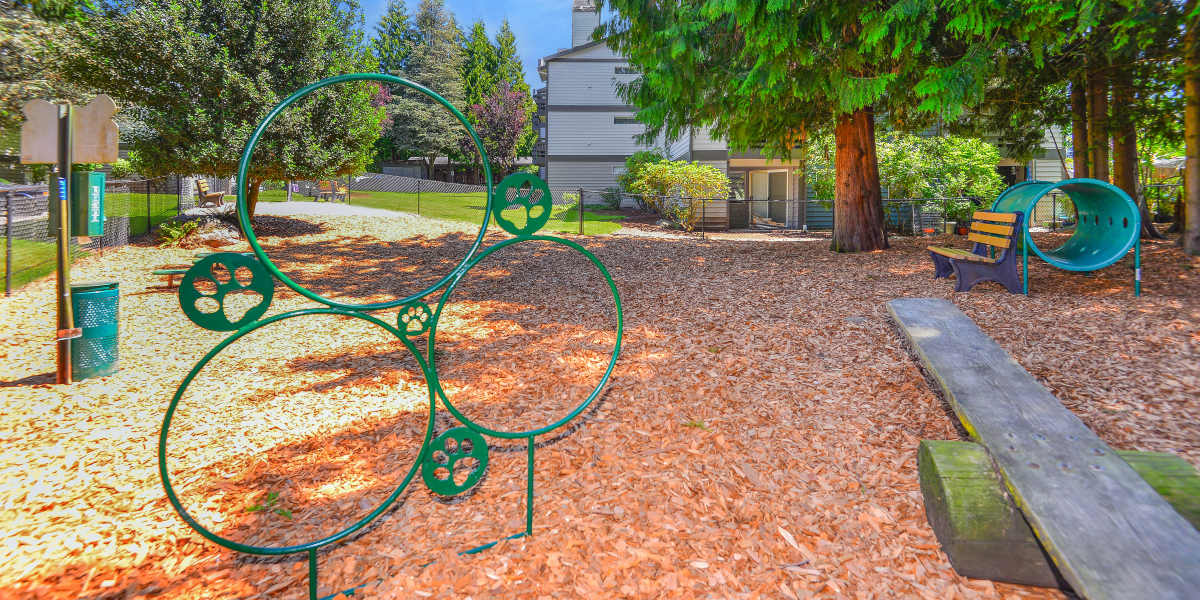 Off-leash onsite dog park with toys at Latitude Apartments in Everett, Washington