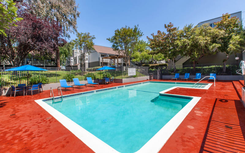 The swimming pool on a sunny day at The Timbers Apartments in Hayward, California
