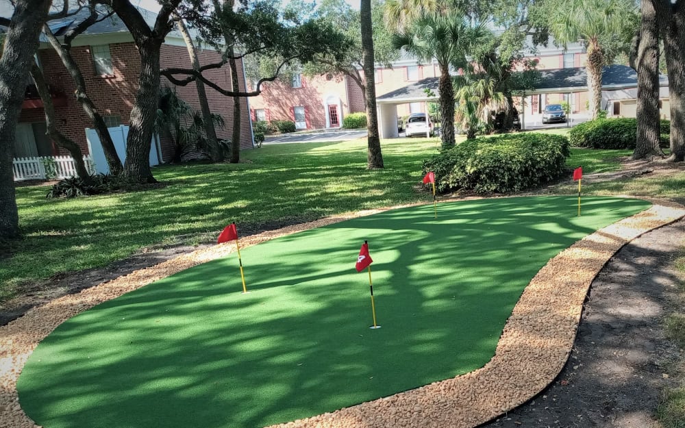 Putting green at Reserve at Lake Pointe Apartments & Townhomes in St Petersburg, Florida