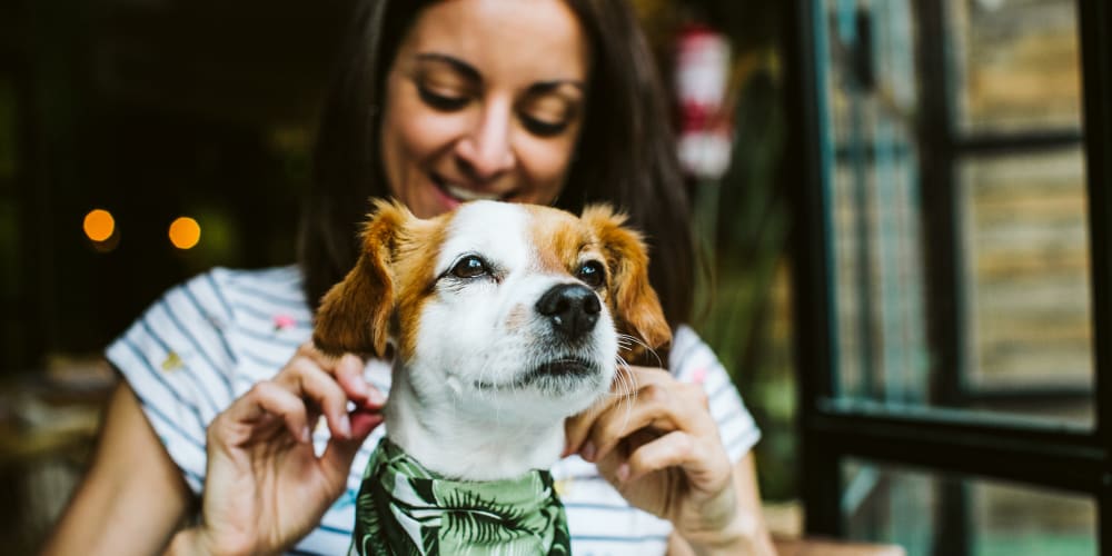 A resident adjusting her dogs bandana at Addison Square in Viera, Florida