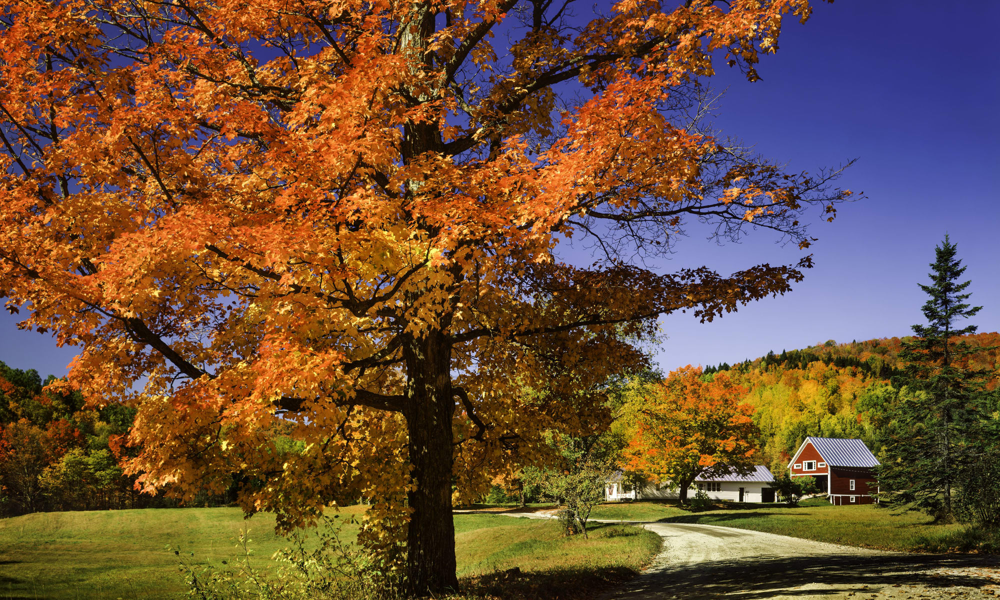 Apartments in Agawam, MA