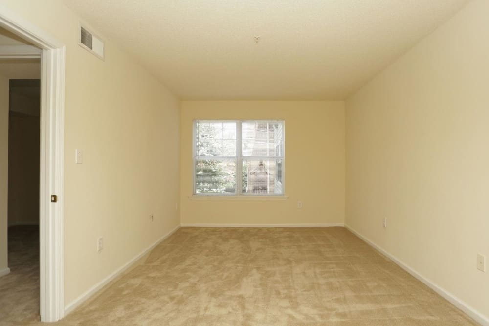 Empty bedroom with window and plush carpeting at Jamestown Commons in Virginia Beach, Virginia