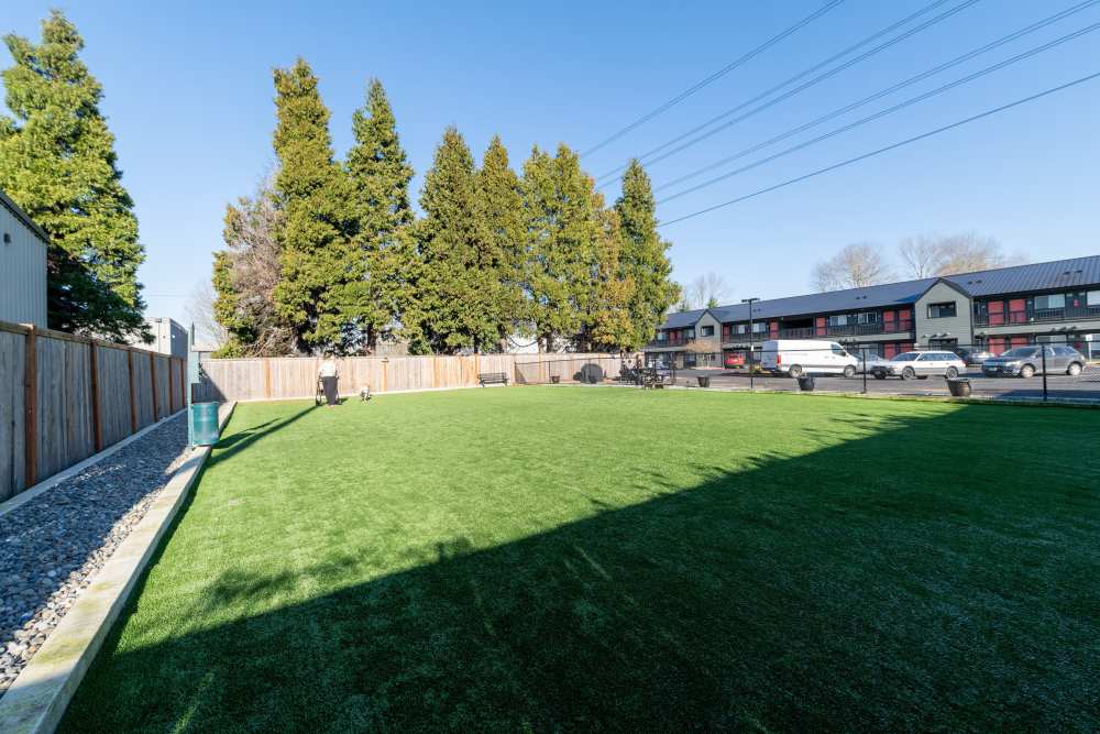 Pet Park at Pinnacle Apartments in Fife, Washington
