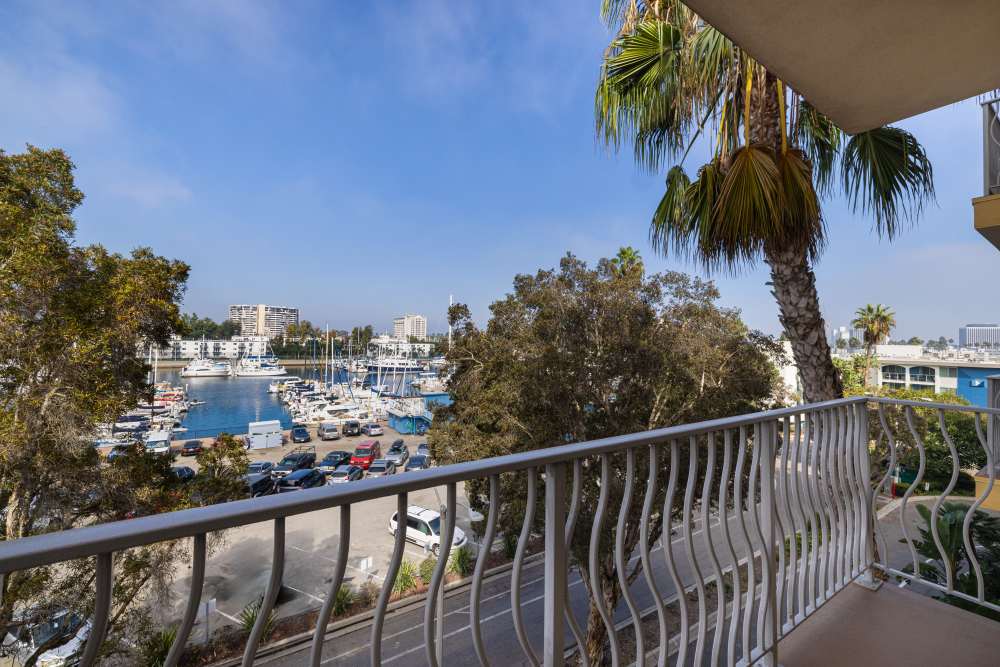 Luxury marina view with boats and palm trees at Capri Apartments in Marina Del Rey, California