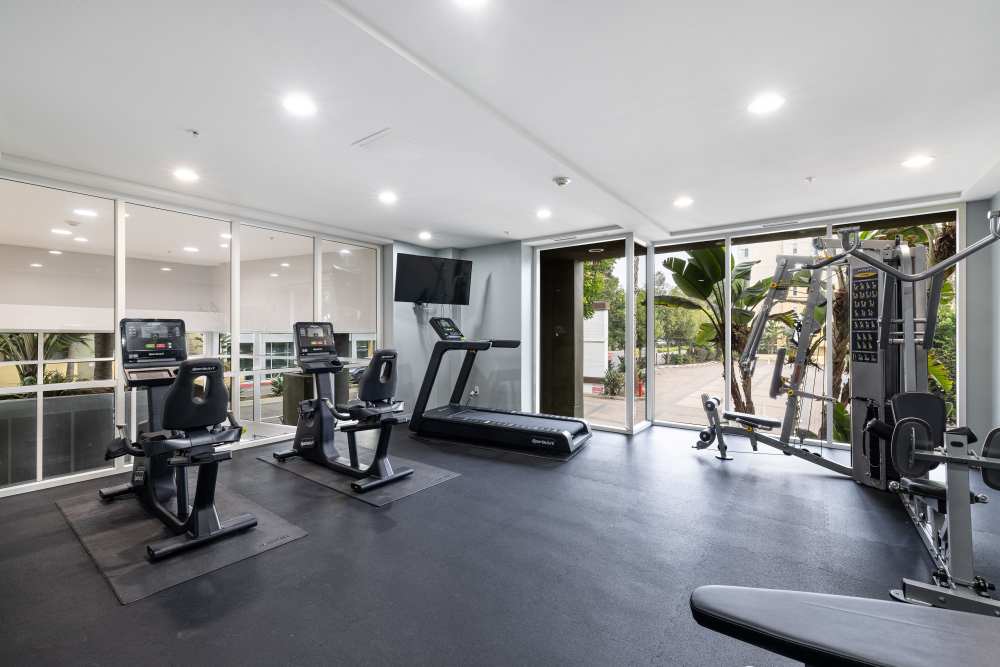 Luxury large windows with greenery visible at Capri Apartments in Marina Del Rey, California