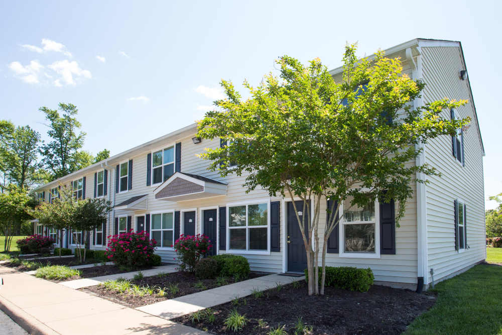 An apartment surrounded by greenery at Maplewood in Chesapeake, Virginia