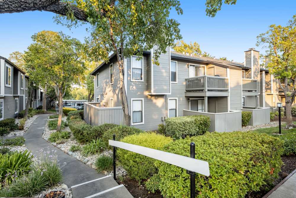 Lush green pathway of the community at Sandpiper Village Apartment Homes in Vacaville, California