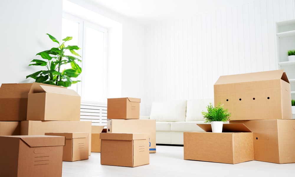 Boxes packed and ready to be stored at Wilson Road Storage in Columbus, Ohio