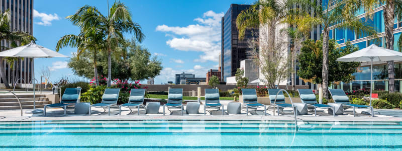 Beautiful resort-style pool at The Vermont in Los Angeles, California