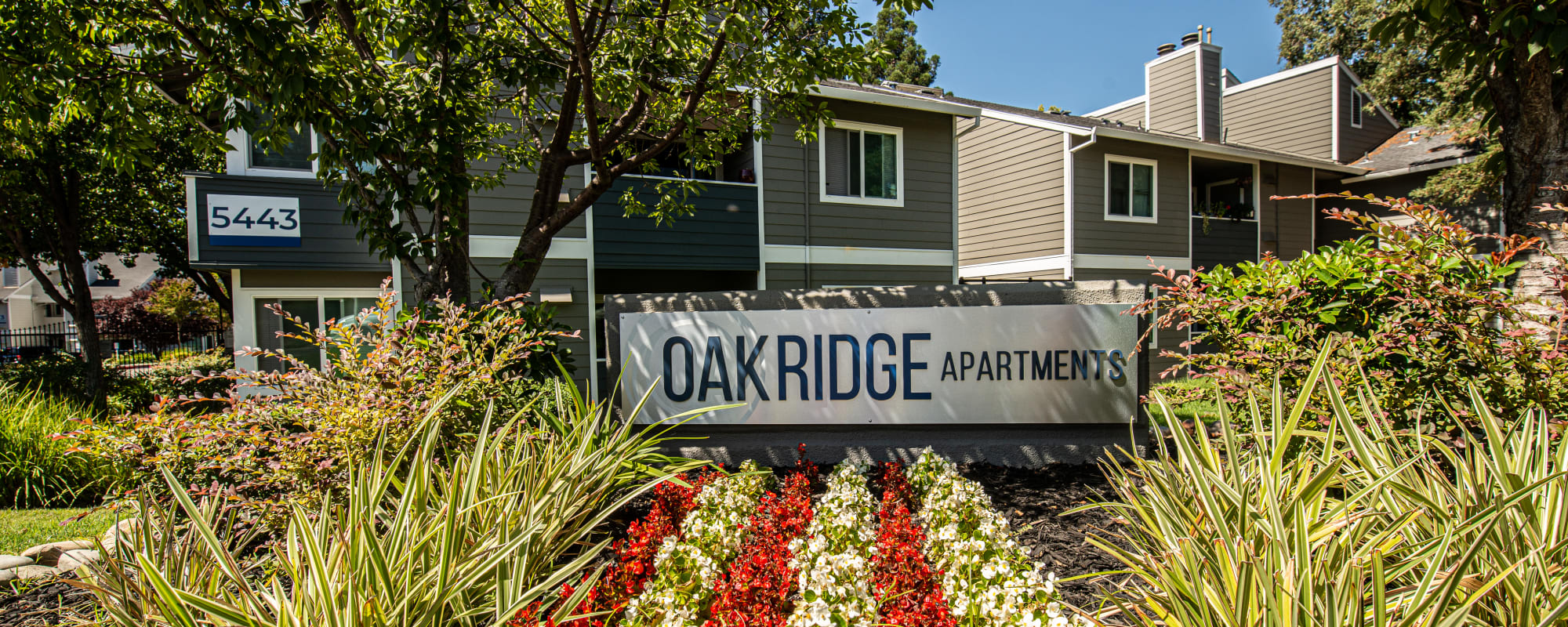 Apartments at Oak Ridge Apartments in Sacramento, California