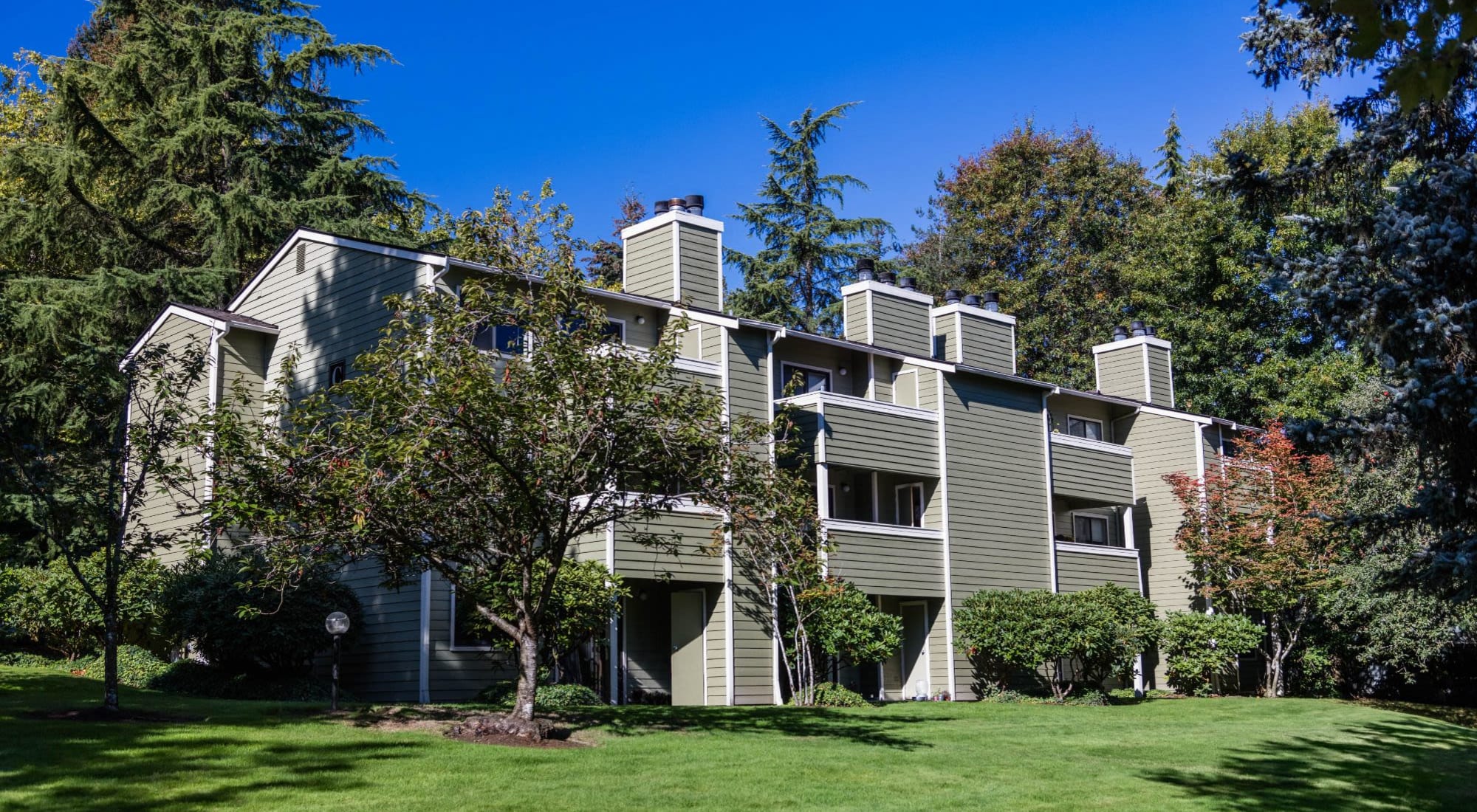 Floor plans at Skyline Redmond in Redmond, Washington