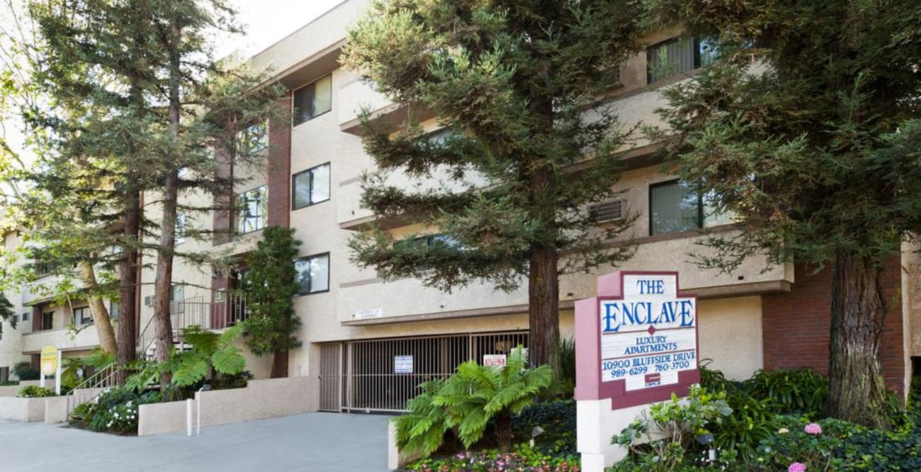 Exterior or building surrounded by large trees at The Enclave in Studio City, California